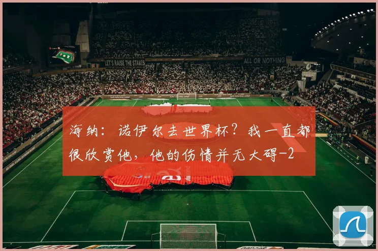 海纳：诺伊尔去世界杯？我一直都很欣赏他，他的伤情并无大碍